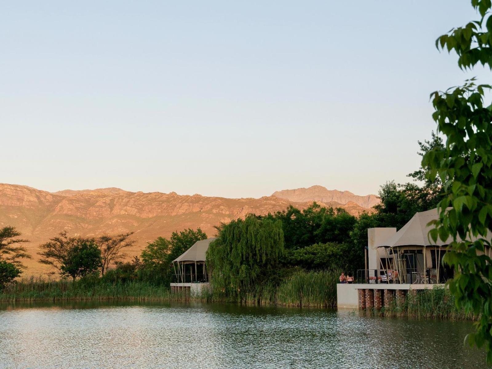 Dawn Mountains Farm Daire Simondium Oda fotoğraf
